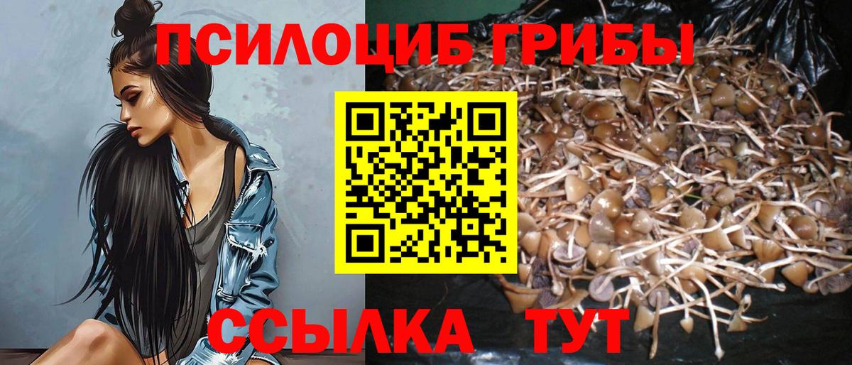 Галлюциногенные грибы прущие грибы  Галлюциногенные грибы Psilocybe  Вход с VPN  Балабаново 